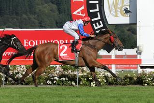Last years Group 1 New Zealand Oaks Winner Savvy Coup (NZ).